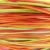 Citrus.red,orange,lime