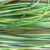 Evergreen emerald,lime