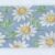 2328 PALE BLUE_ WHITE DAISY