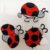 3 LadyBirds 35 by 30