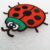 Ladybird Green Head 60 by 55