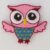 35 by 35 Pink Owl Green Blue Breast