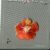 15610 Orange Flower