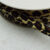 4402 Leopard Skin