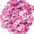 40808 Pink